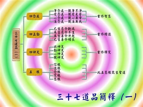 五根|五根、五力、七菩提分、八圣道分略解